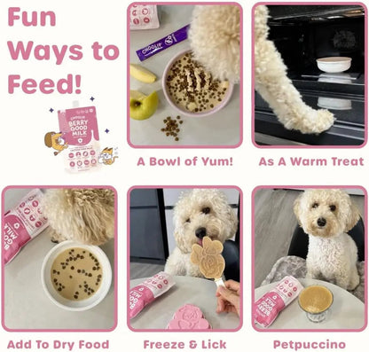 Lactose-Free Vitamin Milk for Cats &amp; Dogs, 10-Pack Pet Nutrition Drink