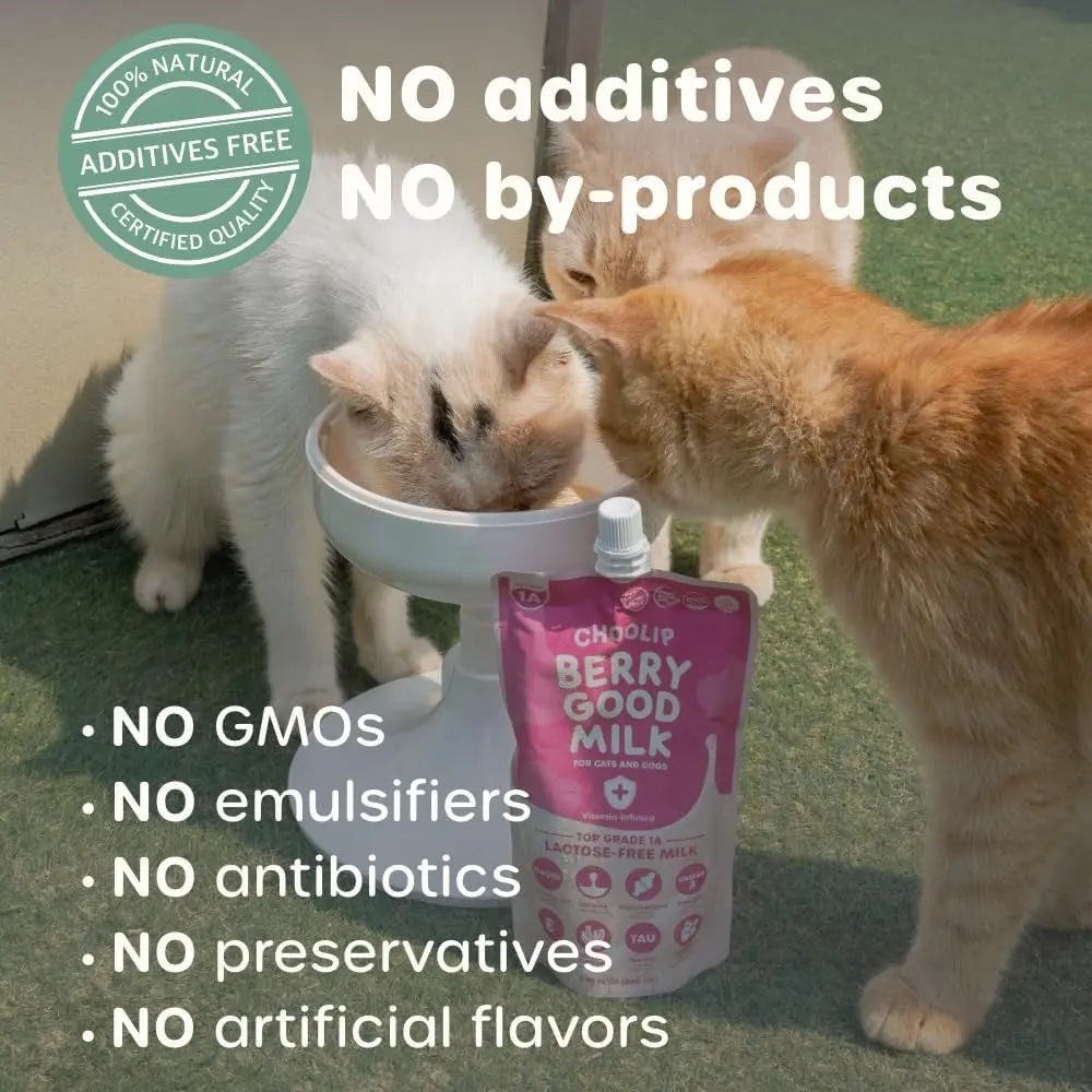 Lactose-Free Vitamin Milk for Cats &amp; Dogs, 10-Pack Pet Nutrition Drink