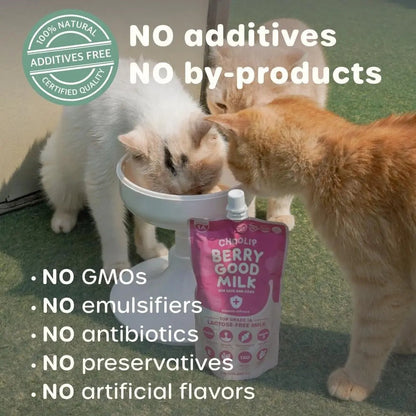 Lactose-Free Vitamin Milk for Cats &amp; Dogs, 10-Pack Pet Nutrition Drink