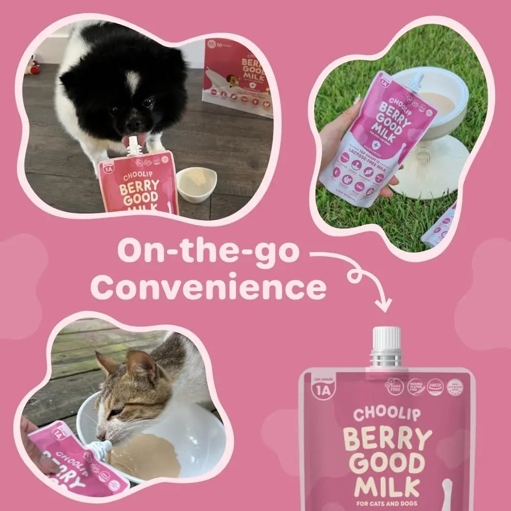 Lactose-Free Vitamin Milk for Cats &amp; Dogs, 10-Pack Pet Nutrition Drink