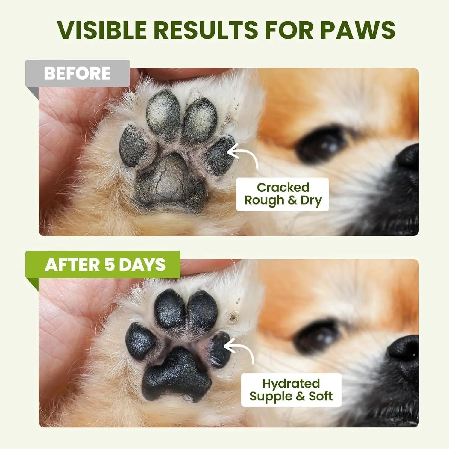 Lick-Safe Dog Paw &amp; Nose Balm with Coconut Oil, All-Natural Moisturizer