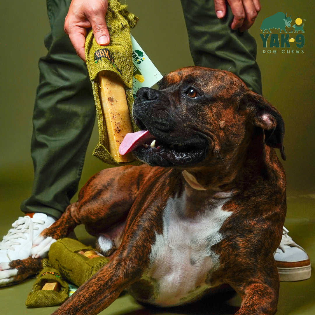 Flaxseed &amp; Mint Cheese Chews for Dogs