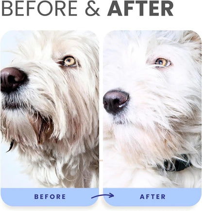 Lillian Ruff Professional Berry Blue Brightening Dog Shampoo &amp; Conditioner Set
