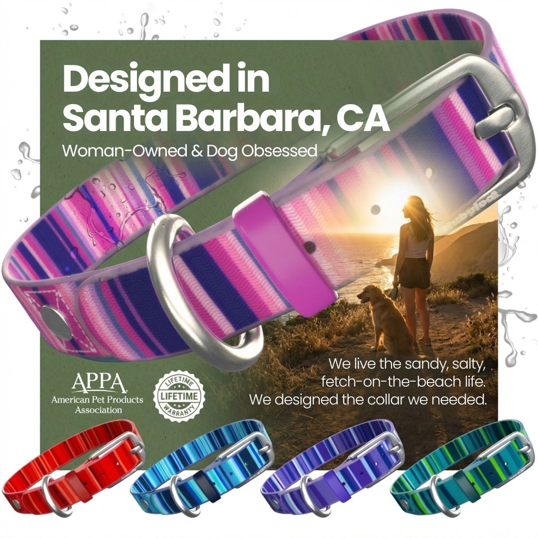 Waterproof Dog Collars – Washable Dog Collar, Stink-Proof &amp; Durable