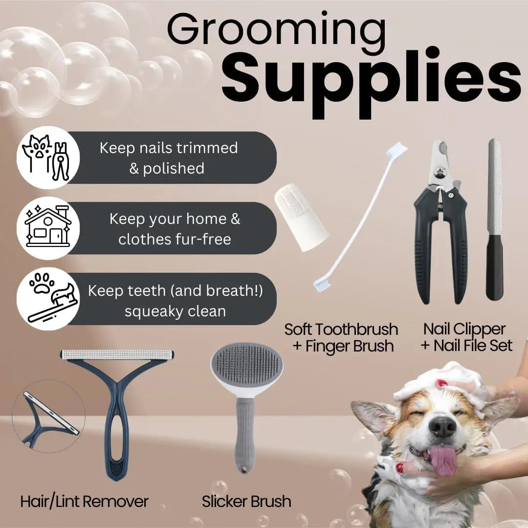 Luxe 22-Piece Puppy Starter Kit–Training &amp; Care Essentials for New Dog Owners