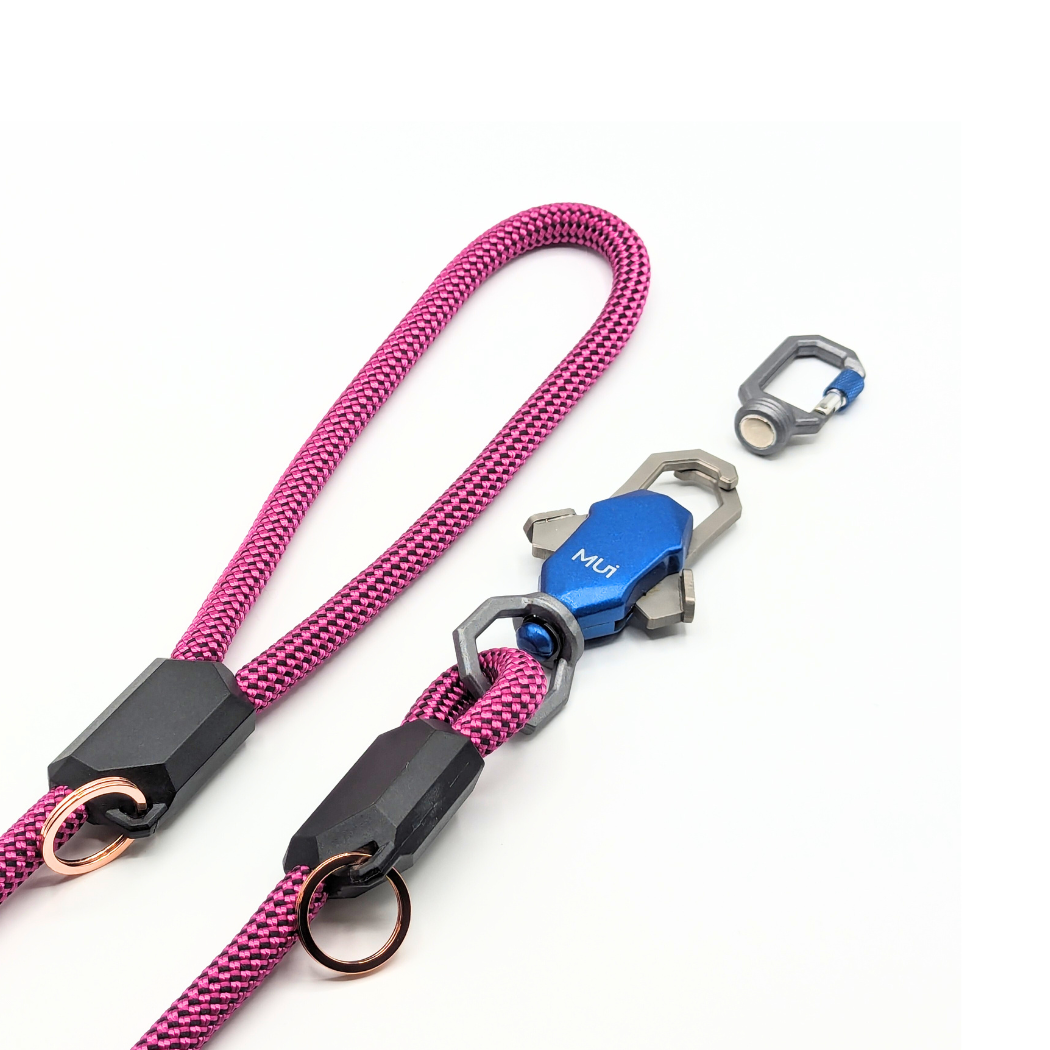 Patented Magnetic Dog Leash - One-Hand Connect &amp; Release