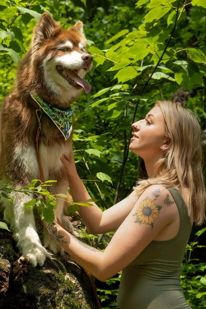 Magical Fern Forest Dog Bandana &amp; Matching Keychain