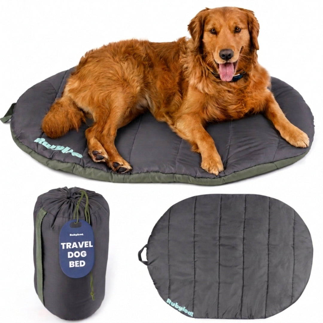 Travel Dog Bed - Foldable &amp; Packable for Travel, Road Trip, Camping