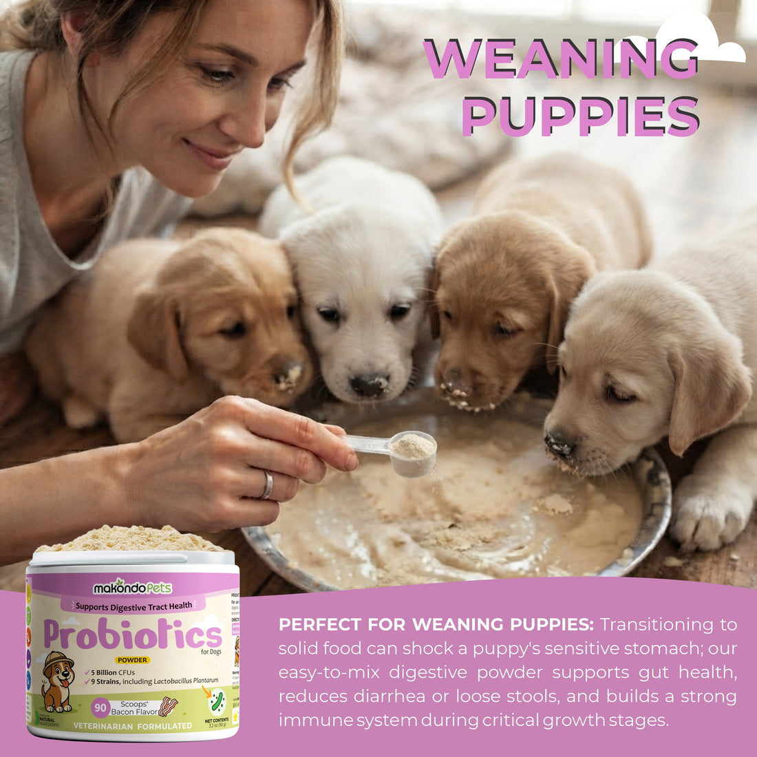 Probiotics for Dogs and Puppies. 90 Scoops