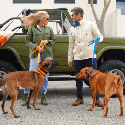 Tilley + Me Hemp Cotton Dog Leash - Durable, Sustainable, Adjustable, Lightweight &amp; Soft-Malibu