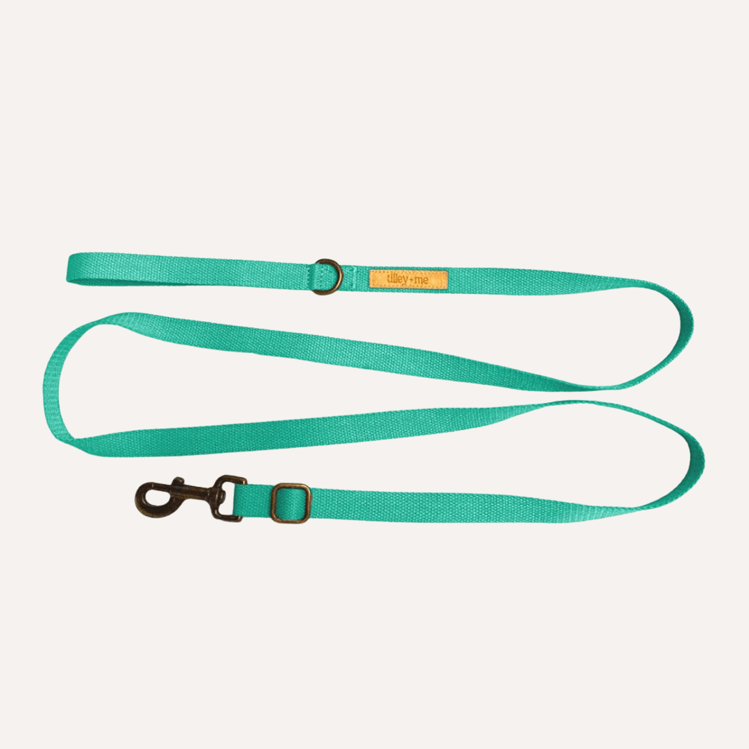 Tilley + Me Hemp Cotton Dog Leash - Durable, Sustainable, Adjustable, Lightweight &amp; Soft-Malibu