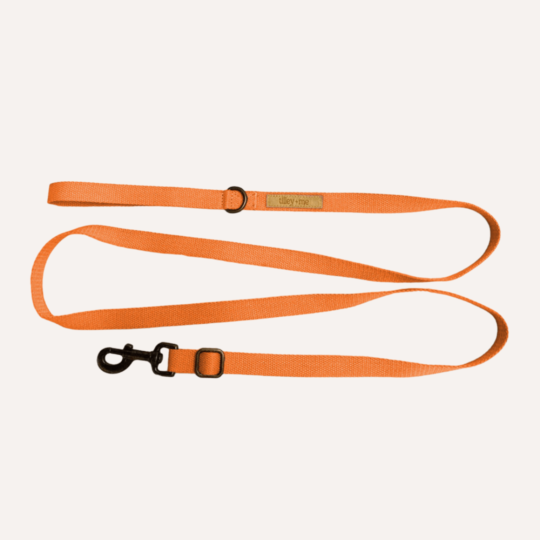Tilley + Me Hemp Cotton Dog Leash - Durable, Sustainable, Adjustable, Lightweight &amp; Soft-Malibu
