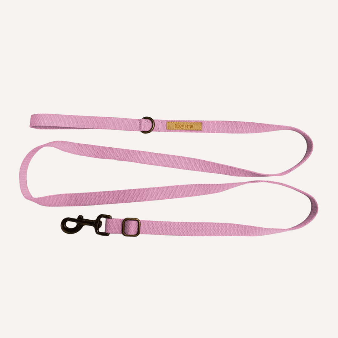 Tilley + Me Hemp Cotton Dog Leash - Durable, Sustainable, Adjustable, Lightweight &amp; Soft-Malibu