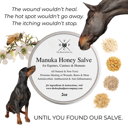 Manuka Honey Salve for Dogs, Horses &amp; Humans