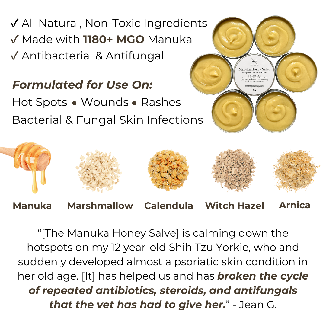 Manuka Honey Salve for Dogs, Horses &amp; Humans