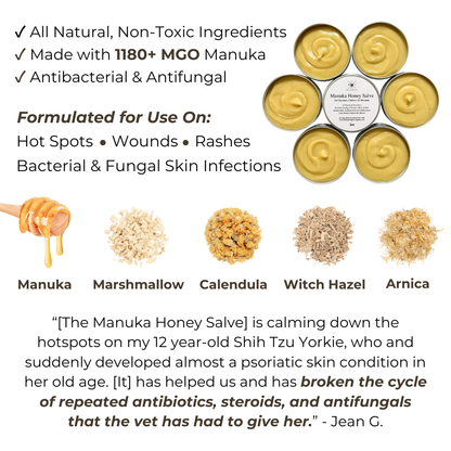 Manuka Honey Salve for Dogs, Horses &amp; Humans