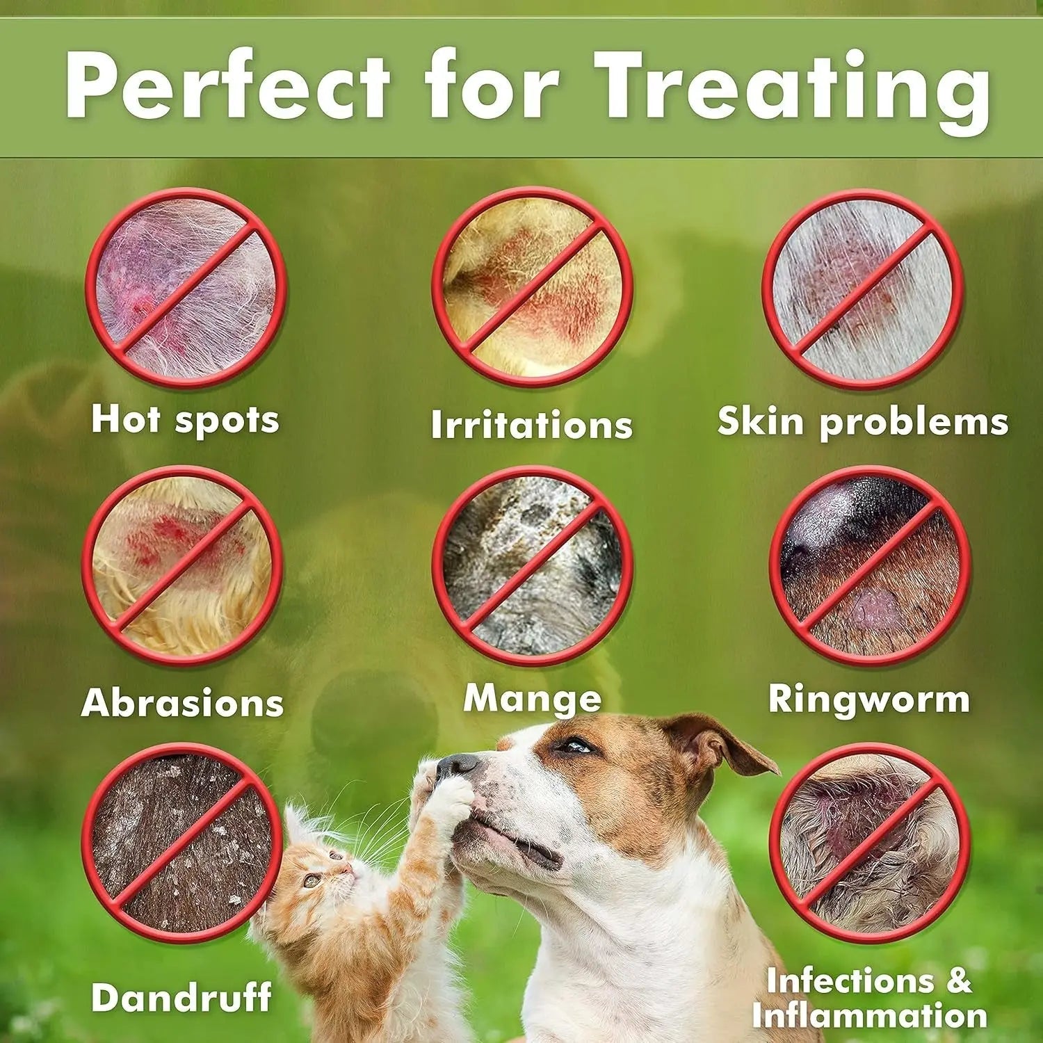 Medicated Dog Shampoo Anti Itch &amp; Yeast Hot Spot Skin Relief 13.5oz