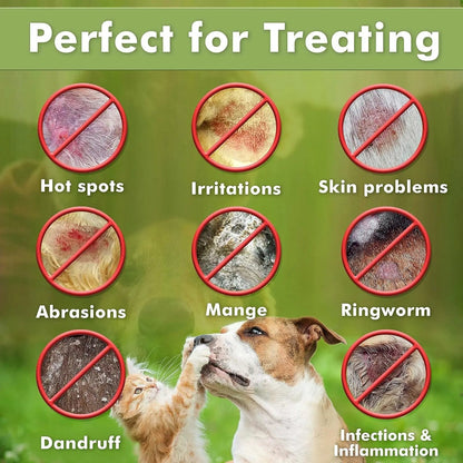 Medicated Dog Shampoo Anti Itch &amp; Yeast Hot Spot Skin Relief 13.5oz