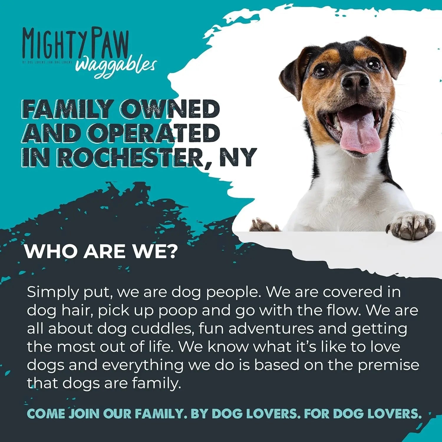 Mighty Scoot Dog Anal Gland &amp; Digestive Support Fiber Chews 120 Ct