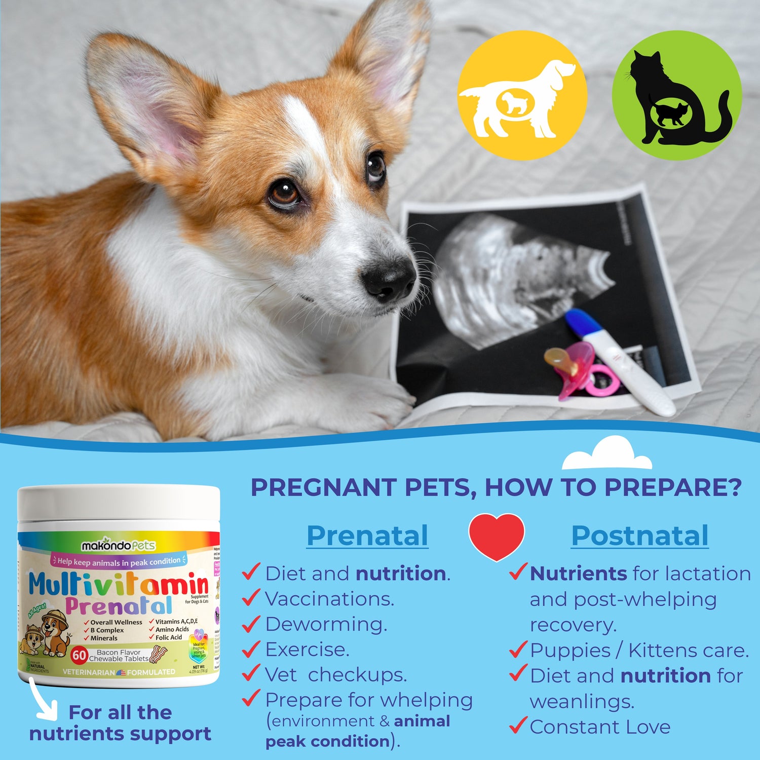 Multivitamin for Dogs &amp; Cats. Prenatal Vitamins. 60 Tabs