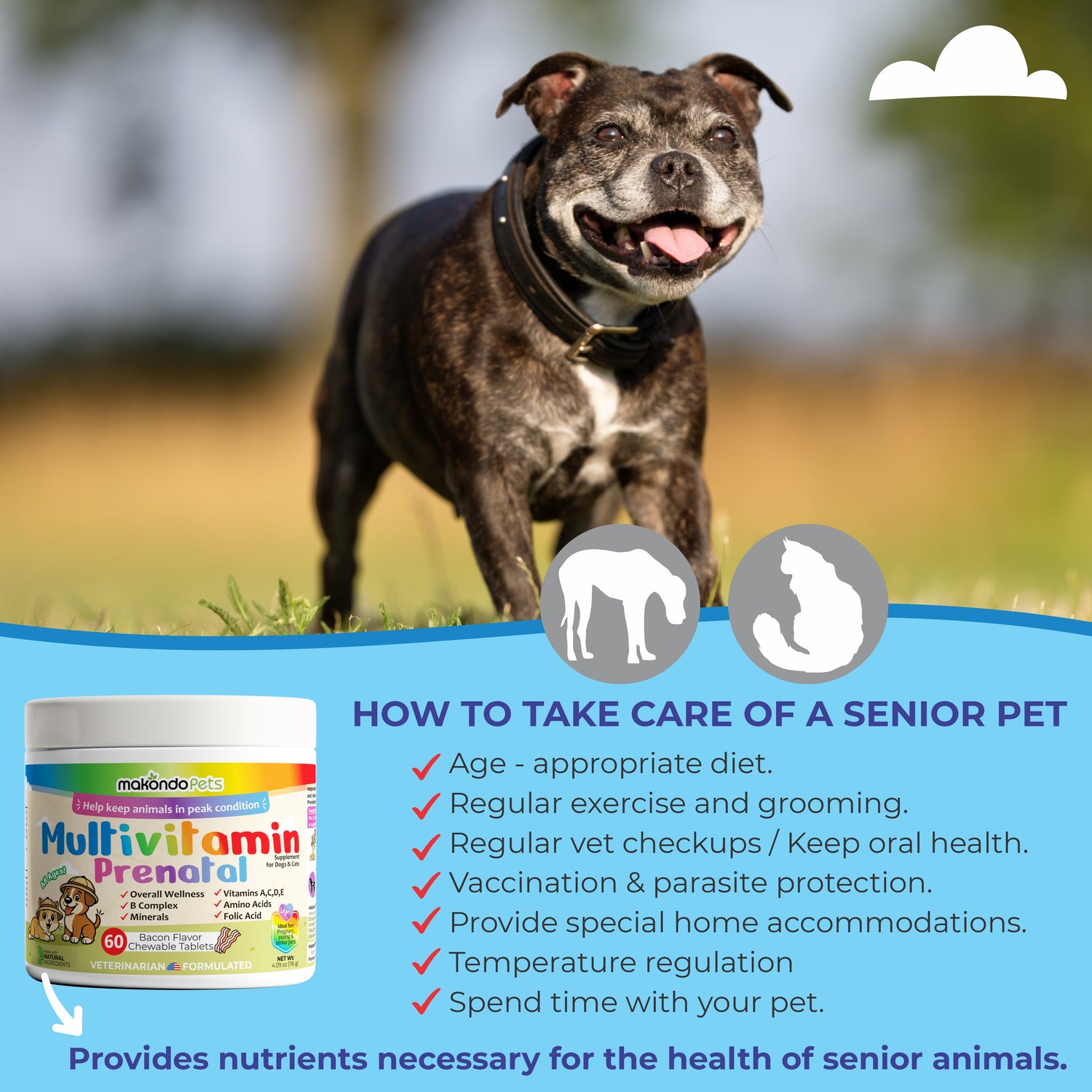 Multivitamin for Dogs &amp; Cats. Prenatal Vitamins. 60 Tabs