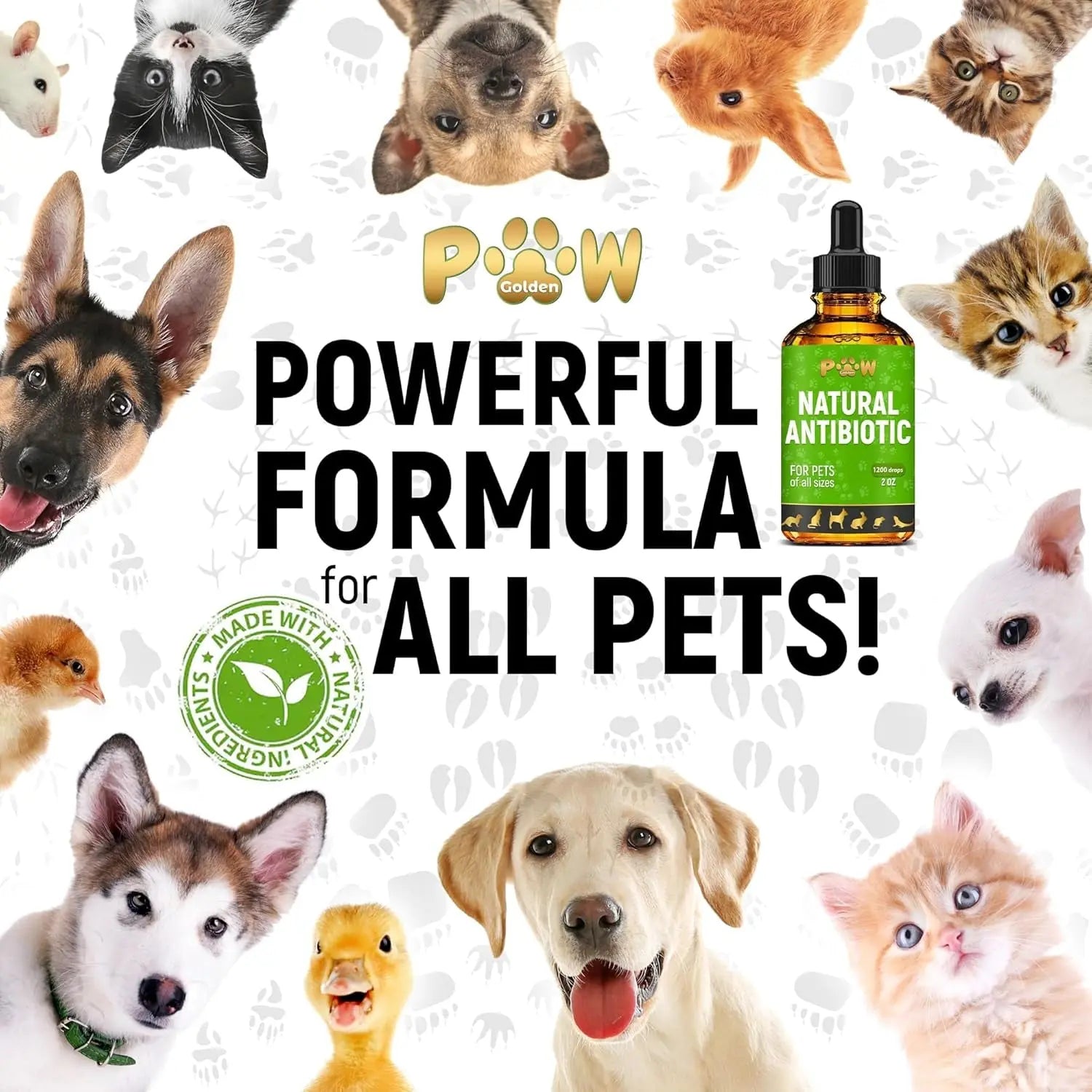 Natural Pet Immune Support Drops for Dogs &amp; Cats, Skin, Coat &amp; Digestion – 2 oz