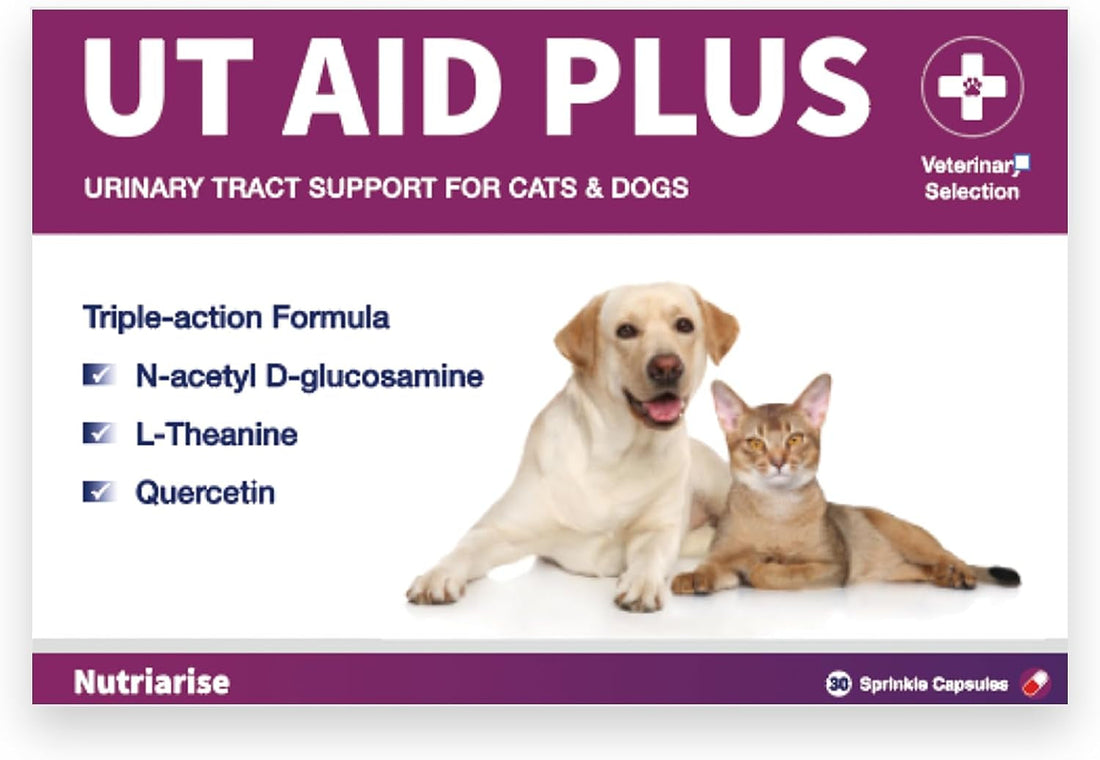 Pet Urinary Tract Support Capsules Cat Dog Bladder Kidney Health Supplement