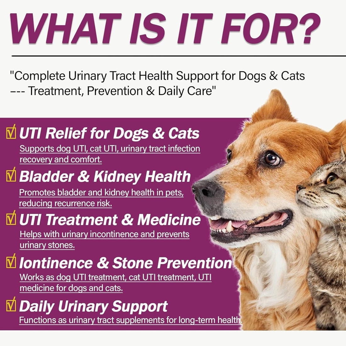 Pet Urinary Tract Support Capsules Cat Dog Bladder Kidney Health Supplement