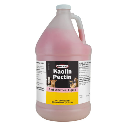 Durvet Kaolin Pectin Anti-Diarrheal Horse Cattle Dog &amp; Cat Digestive 1 Gallon