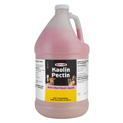 Durvet Kaolin Pectin Anti-Diarrheal Horse Cattle Dog &amp; Cat Digestive 1 Gallon
