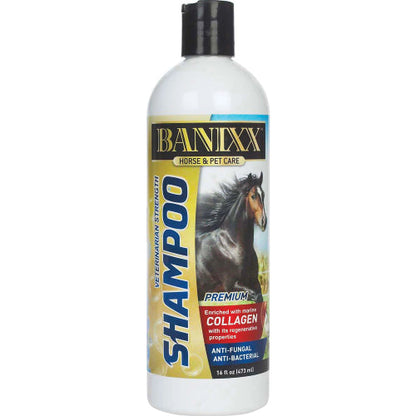 Banixx Shampoo &amp; Spray 16 oz – Horse &amp; Dog Skin &amp; Coat Care Combo – USA Made