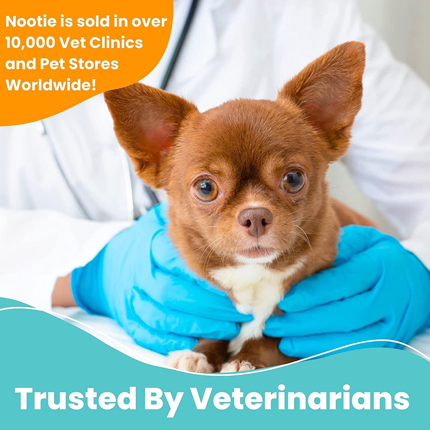 Nootie Medicated Dog &amp; Cat Wipes 2% Chlorhexidine 2% Miconazole 70 Count XL