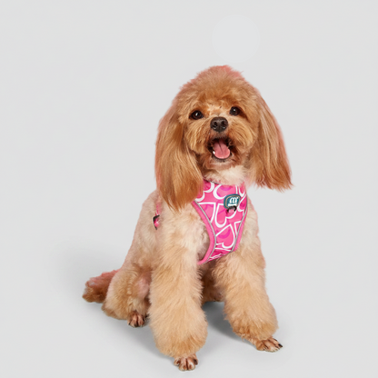 3-Piece Dog Harness &amp; Leash Set