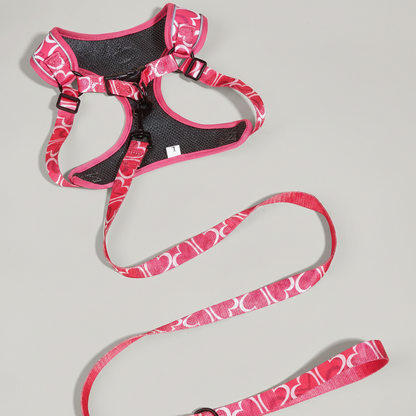 3-Piece Dog Harness &amp; Leash Set
