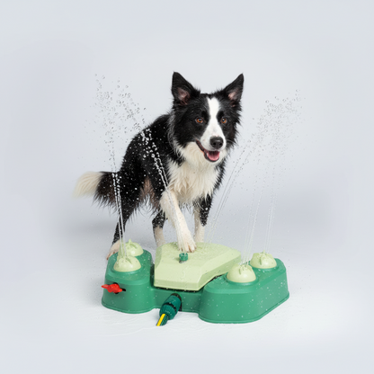 AquaPaw  Outdoor Play &amp; Hydration Station