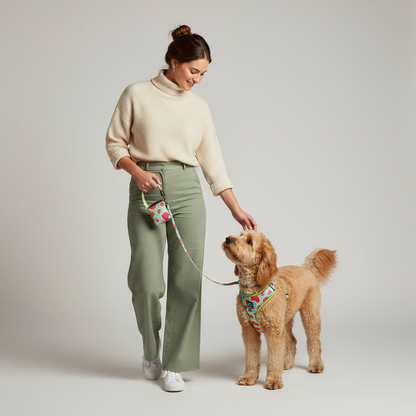 3-Piece Dog Harness &amp; Leash Set