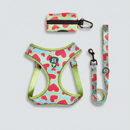 3-Piece Dog Harness &amp; Leash Set