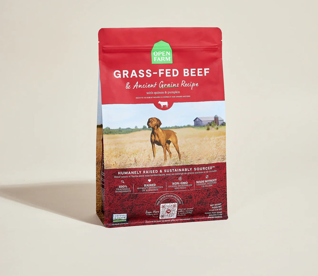 Open Farm Grass-Fed Beef &amp; Ancient Grains Dry Dog Food
