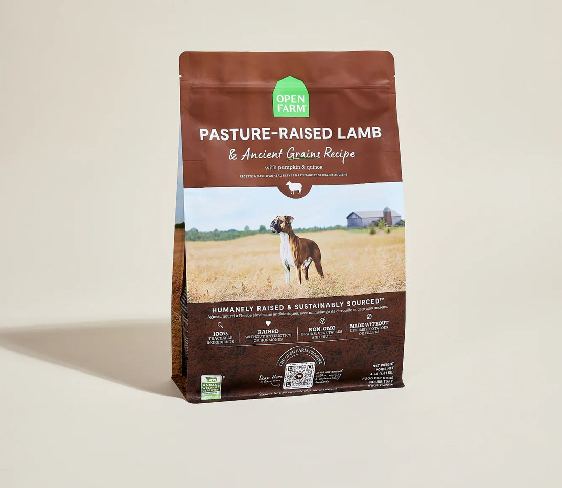 Open Farm Pasture-Raised Lamb &amp; Ancient Grains Dry Dog Food