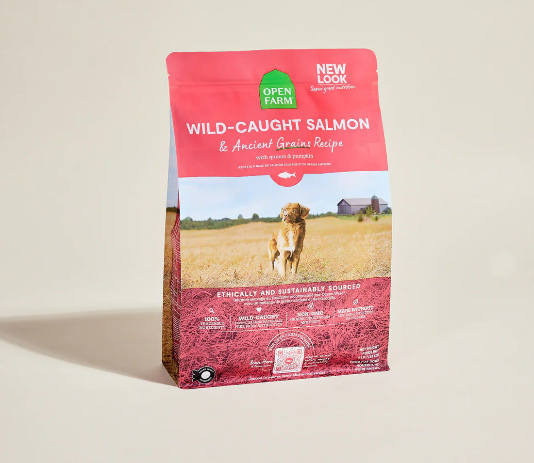 Open Farm Wild-Caught Salmon &amp; Ancient Grains Dry Dog Food
