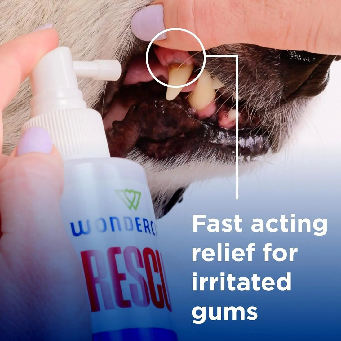 Oral Spray Dogs &amp; Cats Breath &amp; Gum Care 8.5oz with Pure Hypochlorous – 8.5 Oz