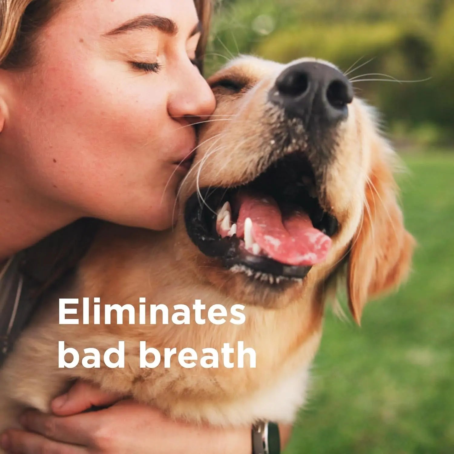 Oral Spray Dogs &amp; Cats Breath &amp; Gum Care 8.5oz with Pure Hypochlorous – 8.5 Oz