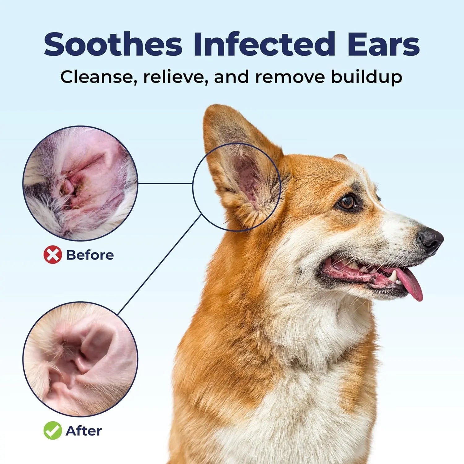 Oticbliss Medicated Ear Flush for Dogs &amp; Cats – Chlorhexidine &amp; Ketoconazole 12oz