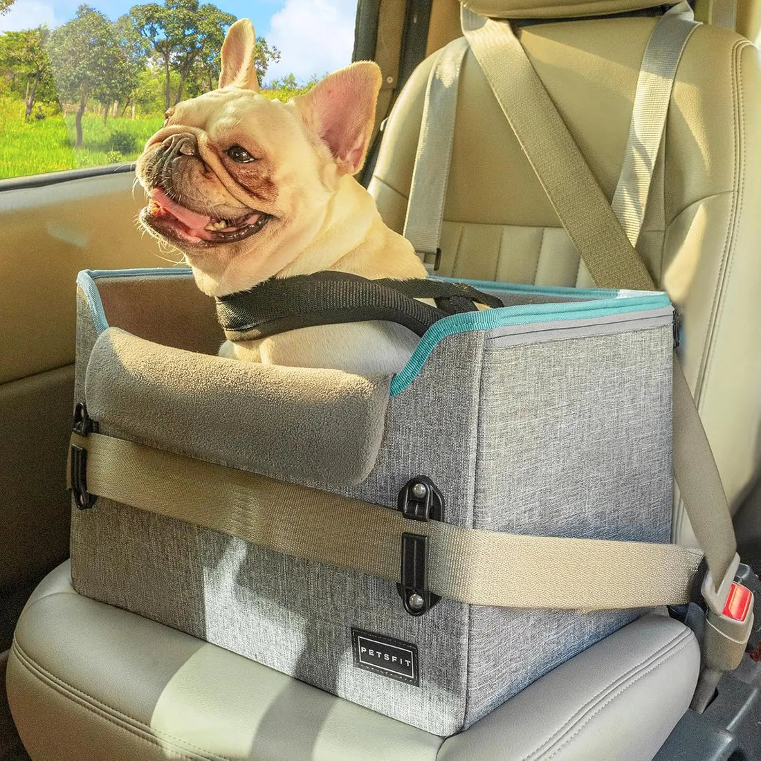 PETSFIT Small Dog Booster Car Seat with Safety Buckles &amp; Tether, Foldable