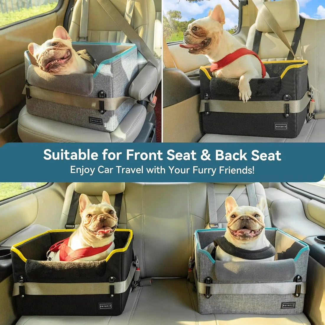 PETSFIT Small Dog Booster Car Seat with Safety Buckles &amp; Tether, Foldable