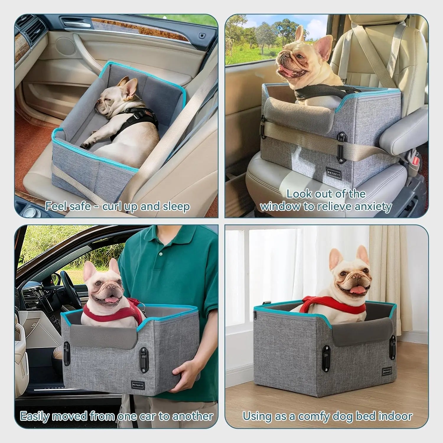 PETSFIT Small Dog Booster Car Seat with Safety Buckles &amp; Tether, Foldable