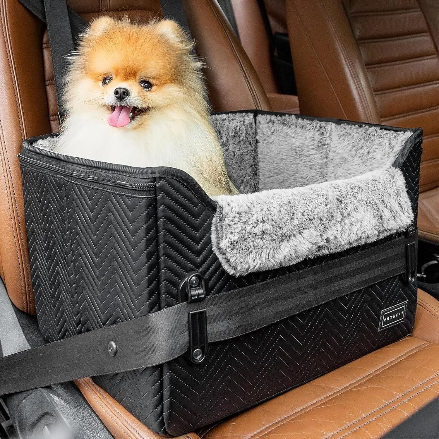 PETSFIT Small Dog Booster Car Seat with Safety Buckles &amp; Tether, Foldable