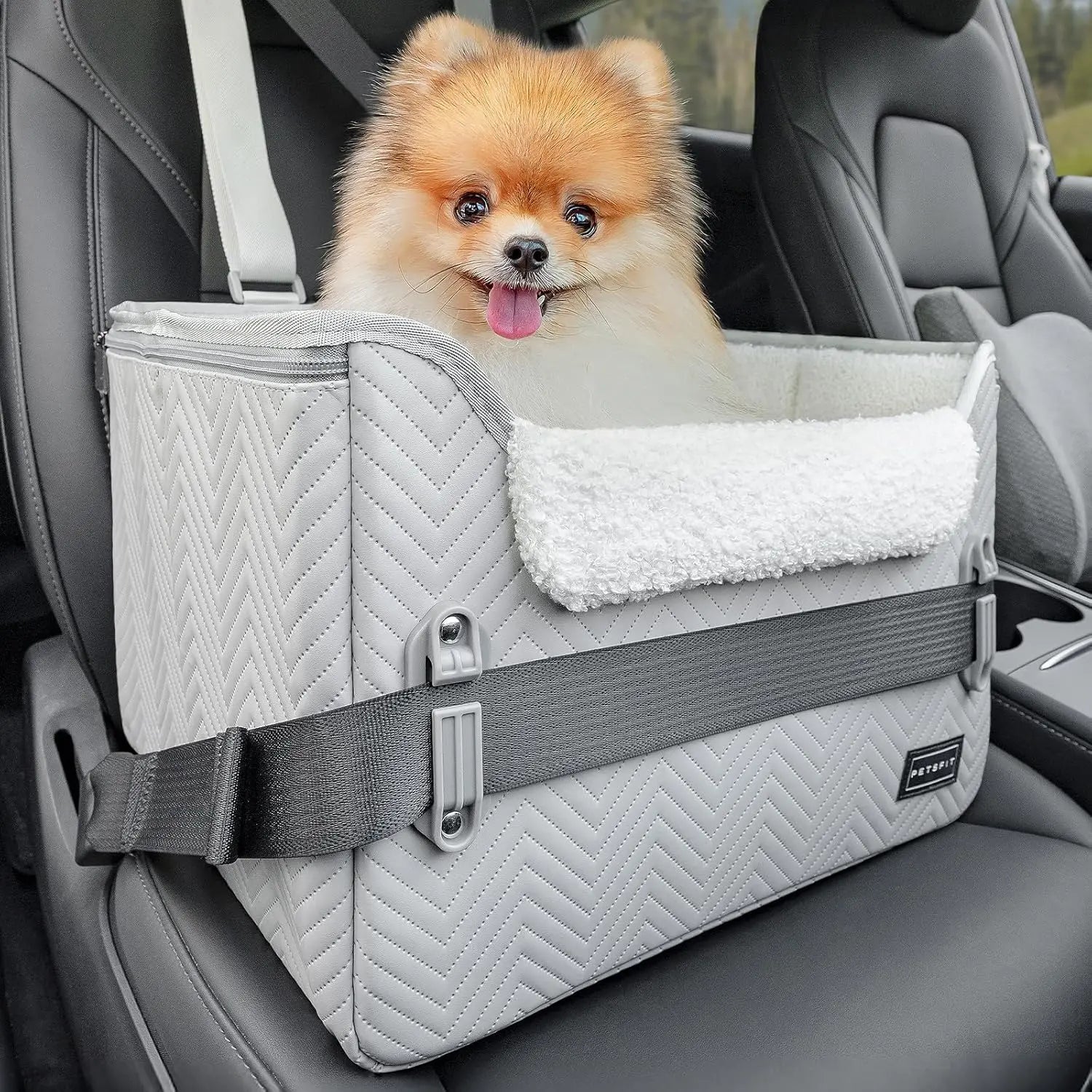 PETSFIT Small Dog Booster Car Seat with Safety Buckles &amp; Tether, Foldable