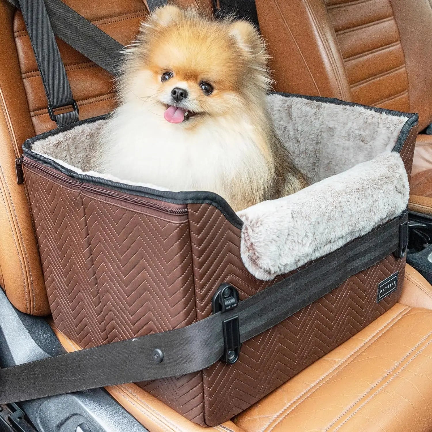 PETSFIT Small Dog Booster Car Seat with Safety Buckles &amp; Tether, Foldable