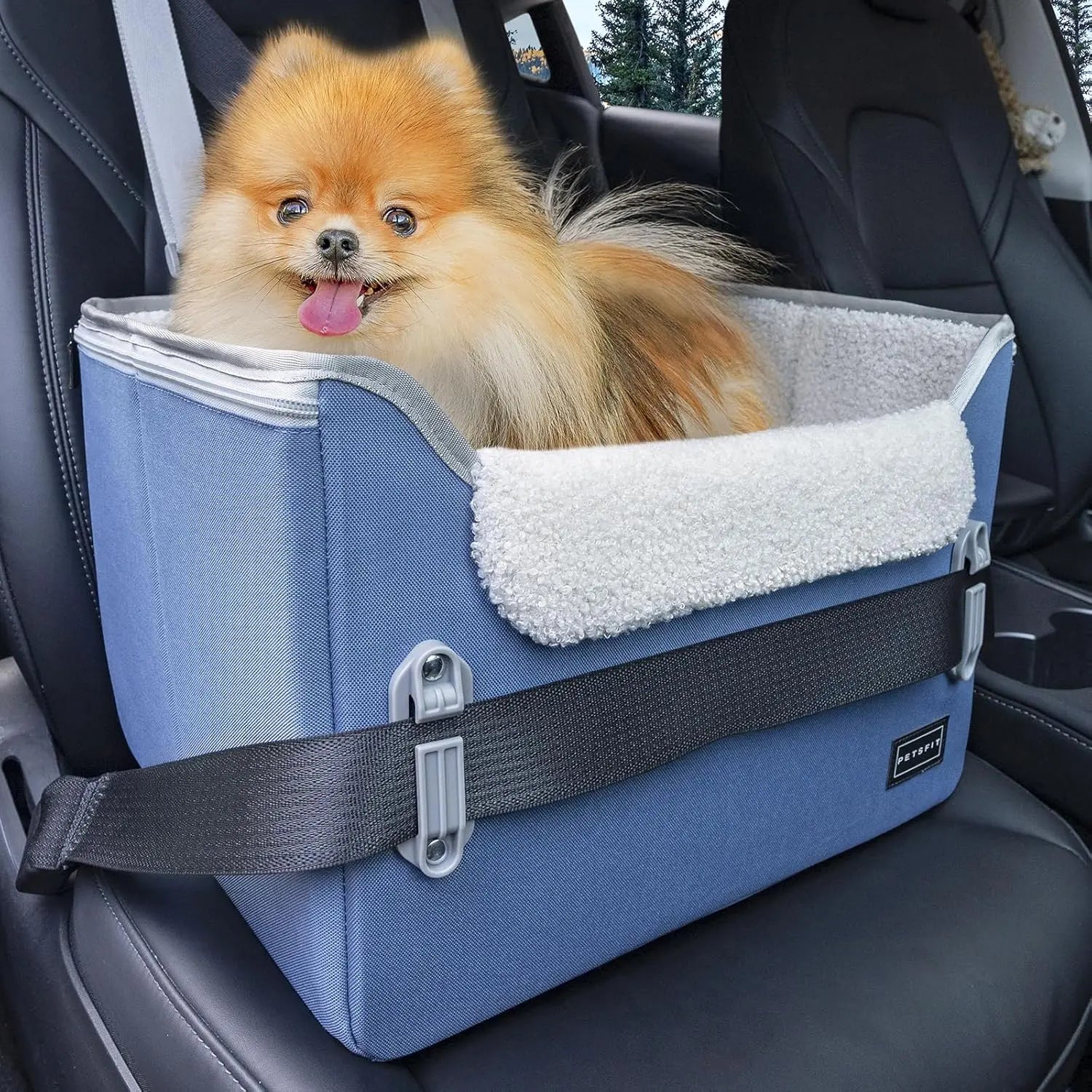 PETSFIT Small Dog Booster Car Seat with Safety Buckles &amp; Tether, Foldable